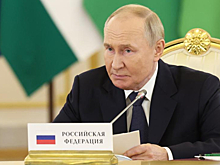 Опрос показал, сколько россиян доверяют Путину