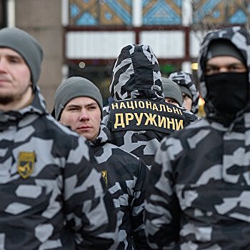 Украинские выборы: власть вскормила зверя, который может вырваться из клетки