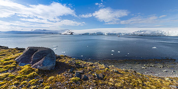 Ученый рассказал, чем грозит человечеству потепление в Антарктиде