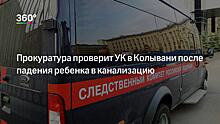 Виновные в гибели двух детей в Колывани оценили их жизни в 150 тыс. рублей
