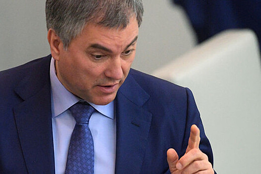 Володин запустил опрос о проблеме электронных дневников в школах