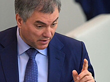 Володин запустил опрос о проблеме электронных дневников в школах