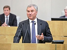 Володин выступил против идеи разрешить преподавать наказанным по тяжким статьям