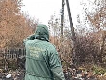 В Коркино после убийства таксистки вспыхнул народный гнев: что известно к этому часу