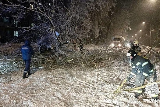 Снежный шторм в Тверской области оставил людей без света и устроил пробки на дорогах