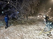 Снежный шторм в Тверской области оставил людей без света и устроил пробки на дорогах