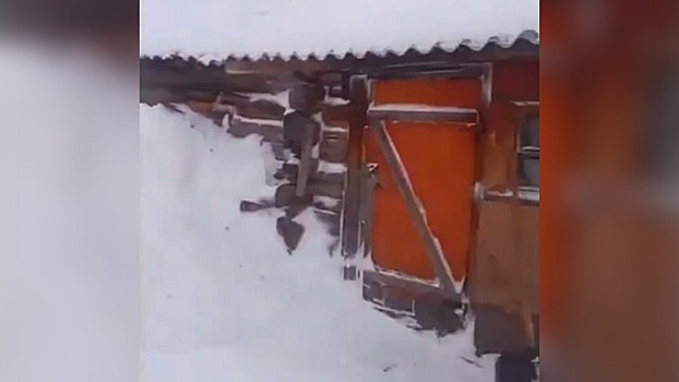 Белый плен: из-за снежного шторма в Новосибирске объявлен режим ЧС