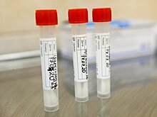 Поможет ли иммунитет к SARS-CoV-2 в борьбе с новым штаммом коронавируса?