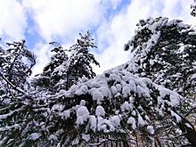 В Курской области 5 и 6 февраля ожидается аномально холодная погода