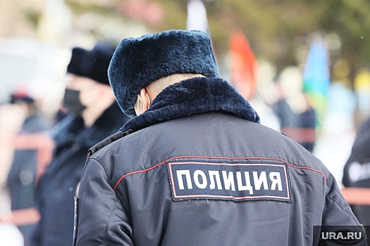 В Екатеринбурге проведут проверку информации о драке в школе