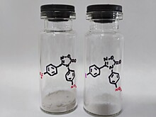 Созданы новые молекулы для борьбы с вирусом оспы и родственными ему патогенами