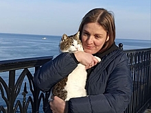 Кошку Мусю подняли со скал у «Ласточкиного гнезда»