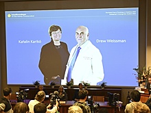 Нобелевскую премию по медицине получили исследования по разработке мРНК-вакцин против COVID-19