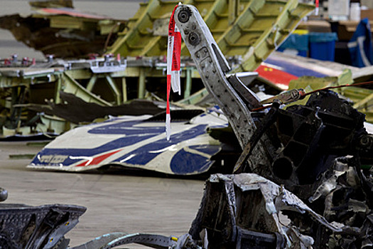 Версию о случайно сбитом Украиной Boeing MH17 предложили рассмотреть в суде