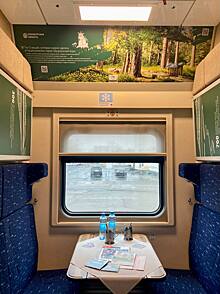В поезде Оренбург - Санкт-Петербург появилось купе с видами «Бузулукского бора»