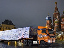Главную новогоднюю ель страны доставили в Кремль