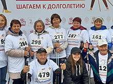 Павловопосадцы стали участниками марафона северной ходьбы в Одинцово
