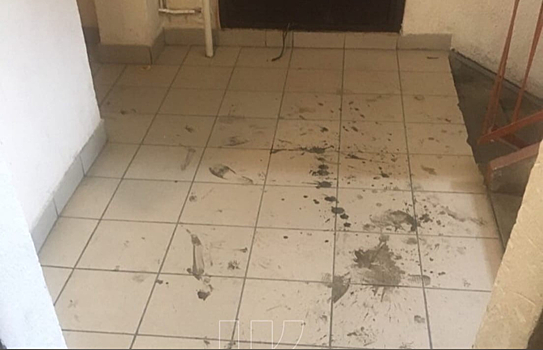 Грязный подъезд возмутил кемеровчан