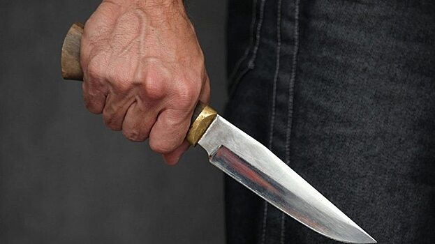В квартире на улице Шелковичная в Саратове мужчина угрожал убить женщину ножом