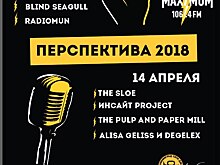 Калининградский музыкальный уикенд: Гид по 8 участникам финалов «Перспективы» 13 и 14 апреля
