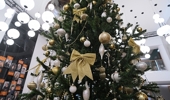 «Волгоградская правда» объявляет конкурс на лучшую новогоднюю елку