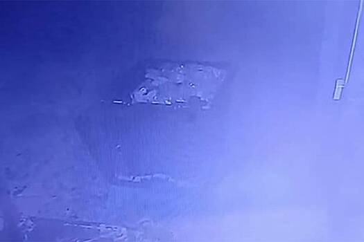 Объевшийся мандаринами в российском магазине попал на видео