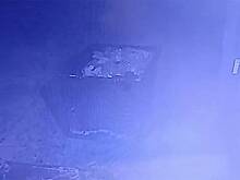 Объевшийся мандаринами в российском магазине попал на видео