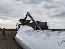 В Татарстане открылась демоплощадка технологии хранения зерновых, масличных культур и силоса в полимерных рукавах
