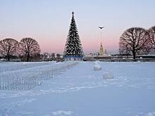 Беглов ответил недовольным подготовкой к Новому году в Петербурге