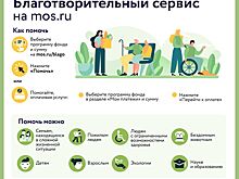 Благотворительный сервис и зооволонтерство: москвичам рассказали о возможностях помощи бездомным животным