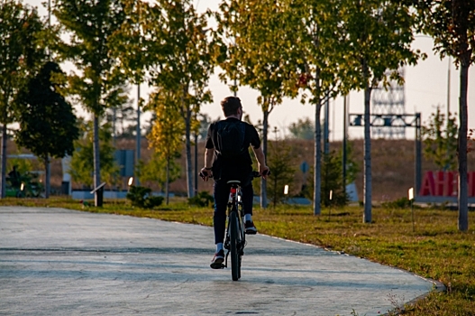 Ямальская спортшкола принуждала родителей	 заводить детям карту «Морошка» для посещения секций