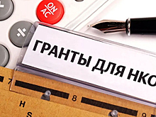 Проекты НКО Вологодчины получат поддержку на более чем 20 млн рублей