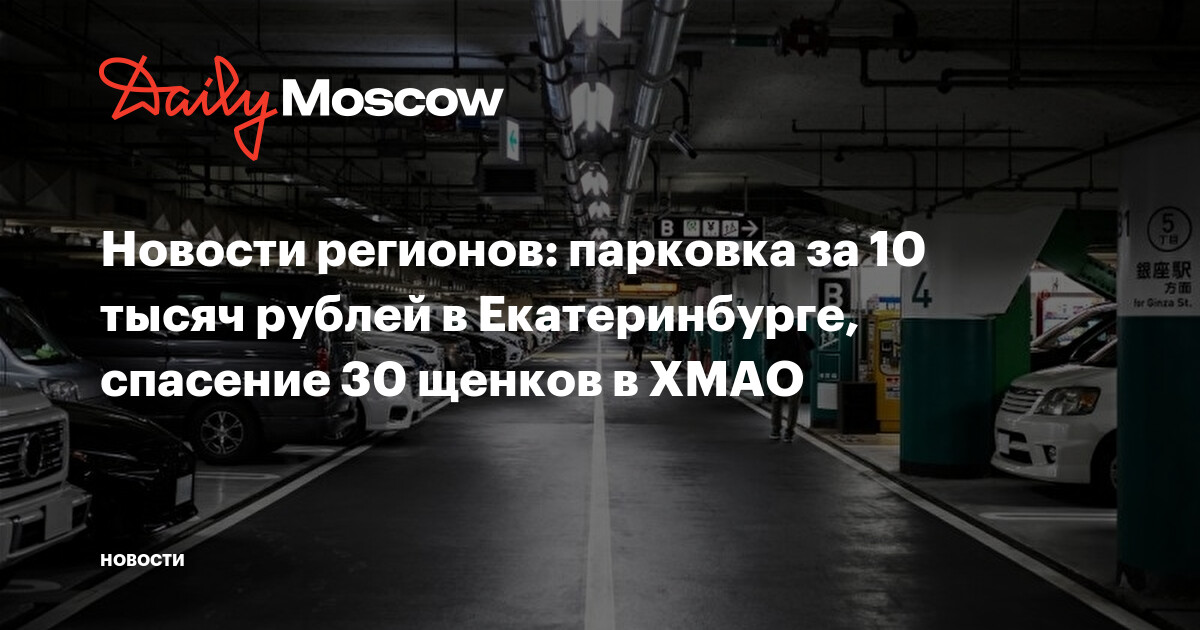 Новости регионов: парковка за 10 тысяч рублей в Екатеринбурге, спасение 30 щенков в ХМАО