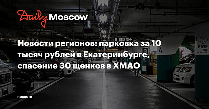 Новости регионов: парковка за 10 тысяч рублей в Екатеринбурге, спасение 30 щенков в ХМАО