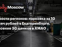 Новости регионов: парковка за 10 тысяч рублей в Екатеринбурге, спасение 30 щенков в ХМАО