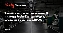 Новости регионов: парковка за 10 тысяч рублей в Екатеринбурге, спасение 30 щенков в ХМАО
