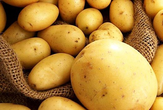 Картофельный газ: почему опасно хранить картошку дома