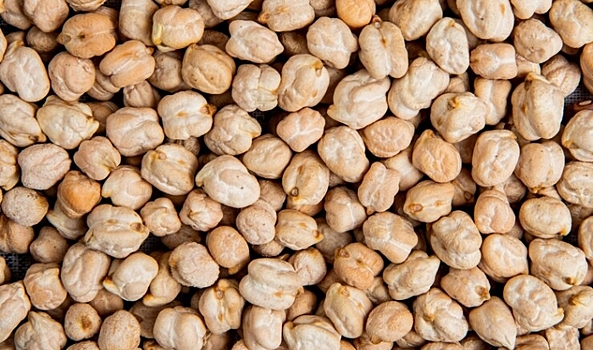 В Волгоградскую область привезли 10 тонн семян нута без документов