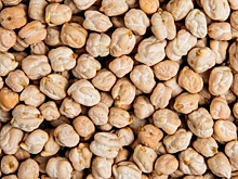 В Волгоградскую область привезли 10 тонн семян нута без документов