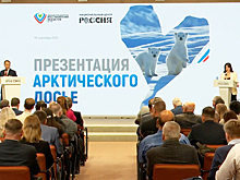 Патрушев назвал экологическое оздоровление Арктики одним из приоритетов России