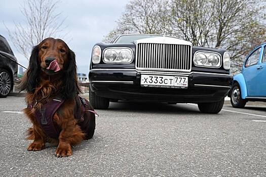 В России определили самый популярный люксовый автомобиль