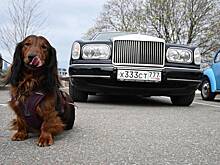 В России определили самый популярный люксовый автомобиль