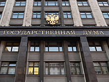 За несогласованный выезд за границу депутатов и сенаторов будут лишать мандата