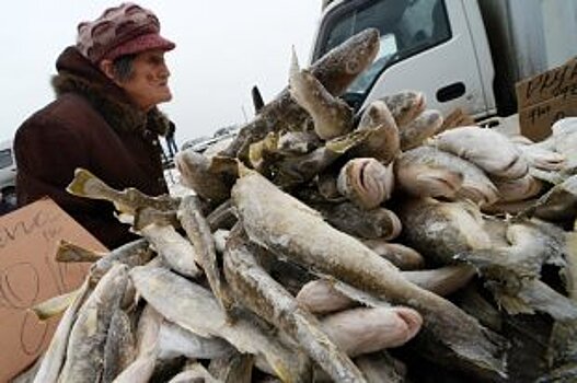 В северных морях ученые нашли новые запасы рыбы и краба