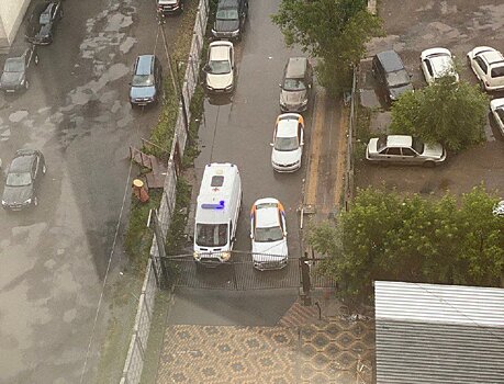 Жители Павшино борются за удобные проезды к домам