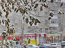 Погода будет кошмарить жителей Новосибирска до декабря