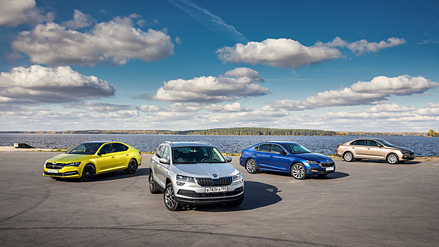 Эксперты СберАвто назвали самые популярные автомобили Skoda в России