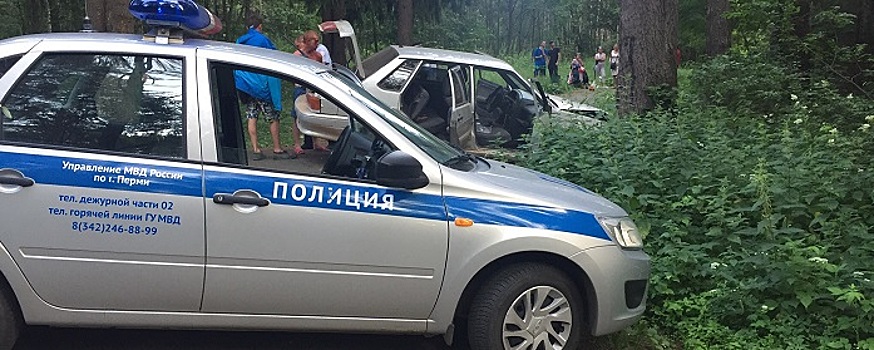 Пермский полицейский переехал пьяного мужчину, лежавшего на дороге