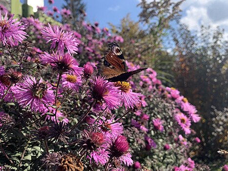 В Курской области 16 сентября ожидается до +23 градусов