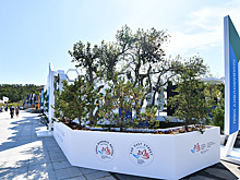 Якутия покажет на «Улице Дальнего Востока» новые проекты